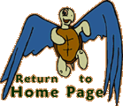 return to flying turtle home page